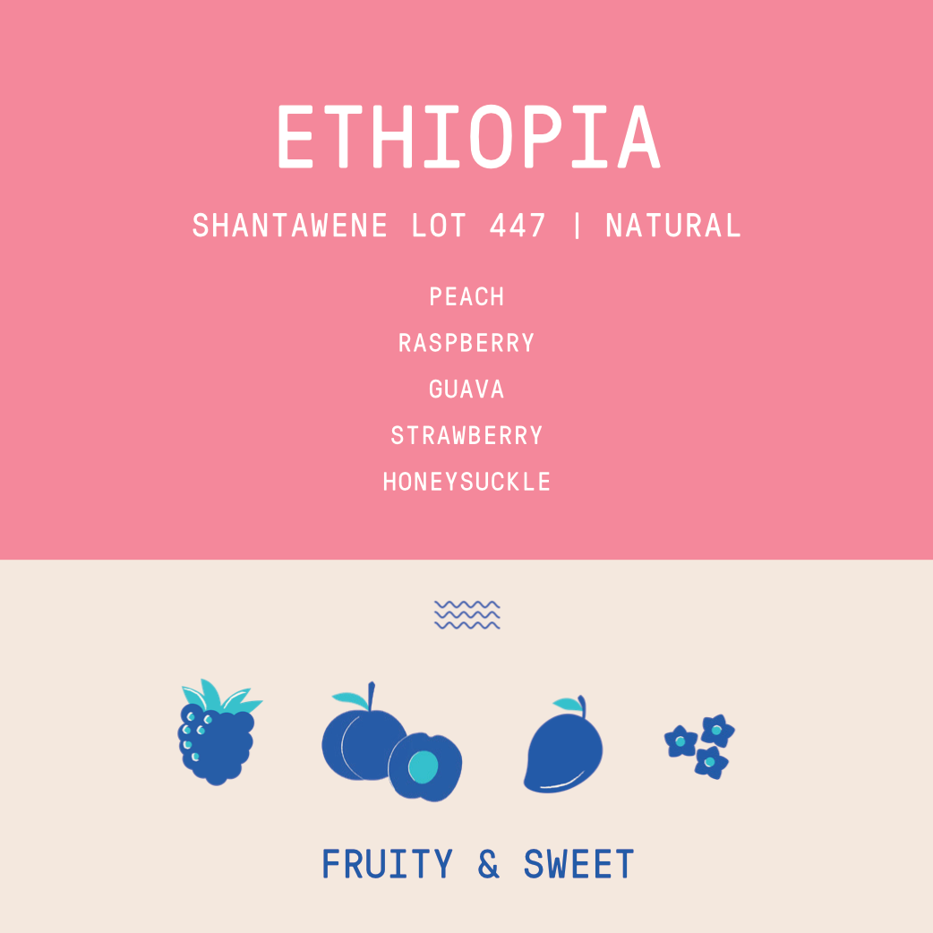 Ethiopia - Shantawene | Natural Lot 447 - Archived