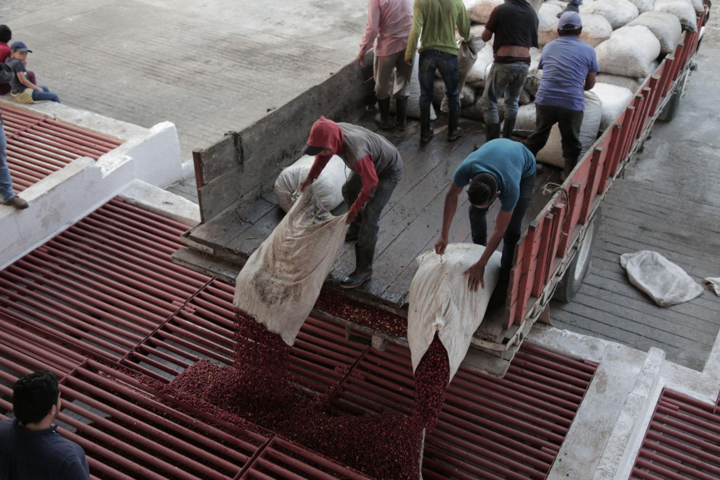 Guatemala - Farms of Sierra de las Minas | Washed - Archived
