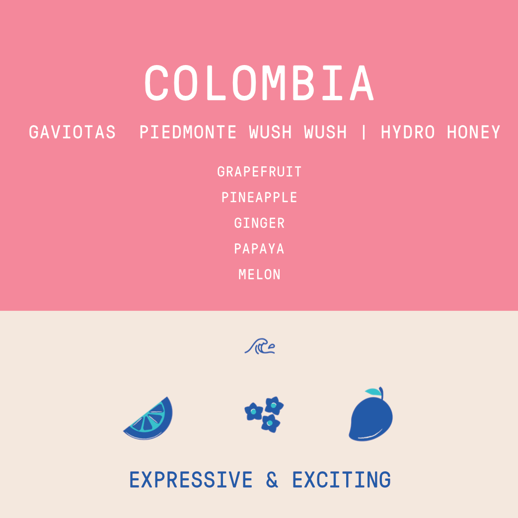 Colombia - Las Gaviotas Piedmonte Farm | Wush Wush Hydro Honey - 150g - Archived