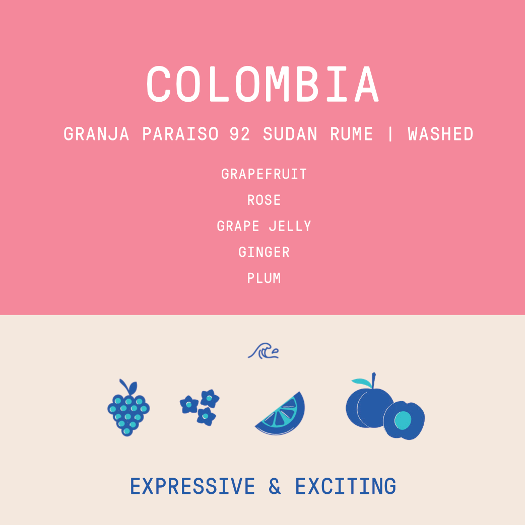 Colombia - Granja Paraiso 92 | Sudan Rume Anaerobic Washed 2025 - 100g