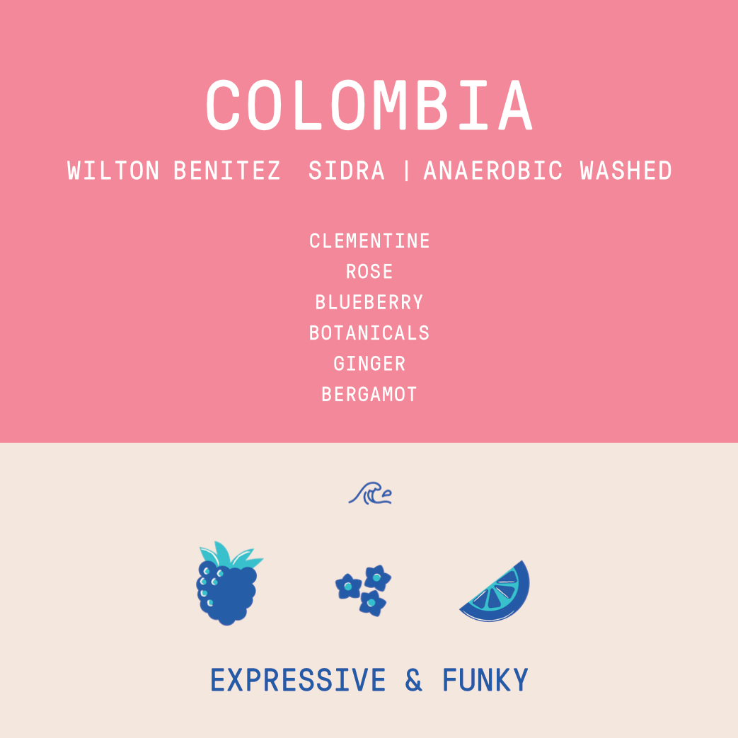 Colombia - Granja Paraiso 92 P-18 | Sidra Anaerobic Washed - 100g - Archived