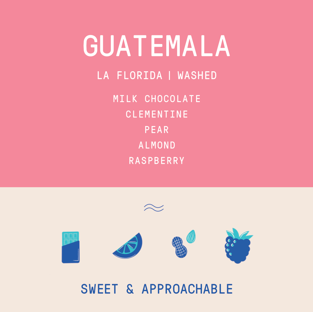 Guatemala - La Florida | Washed - Archived