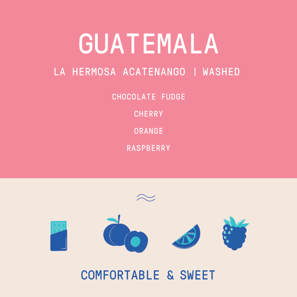 Guatemala - La Hermosa | Washed