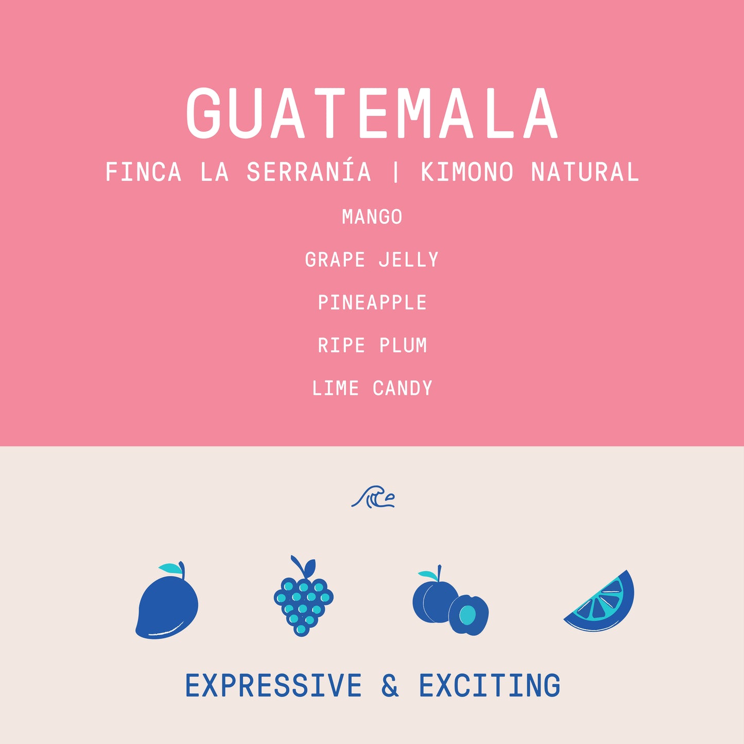 Guatemala - Finca La Serranía | Kimono Natural - 200g - Archived