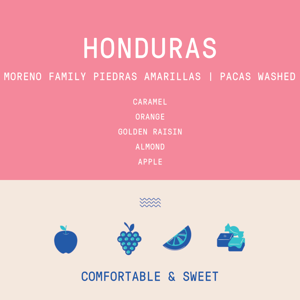 Honduras - Moreno Family Piedras Amarillas | Washed - Archived