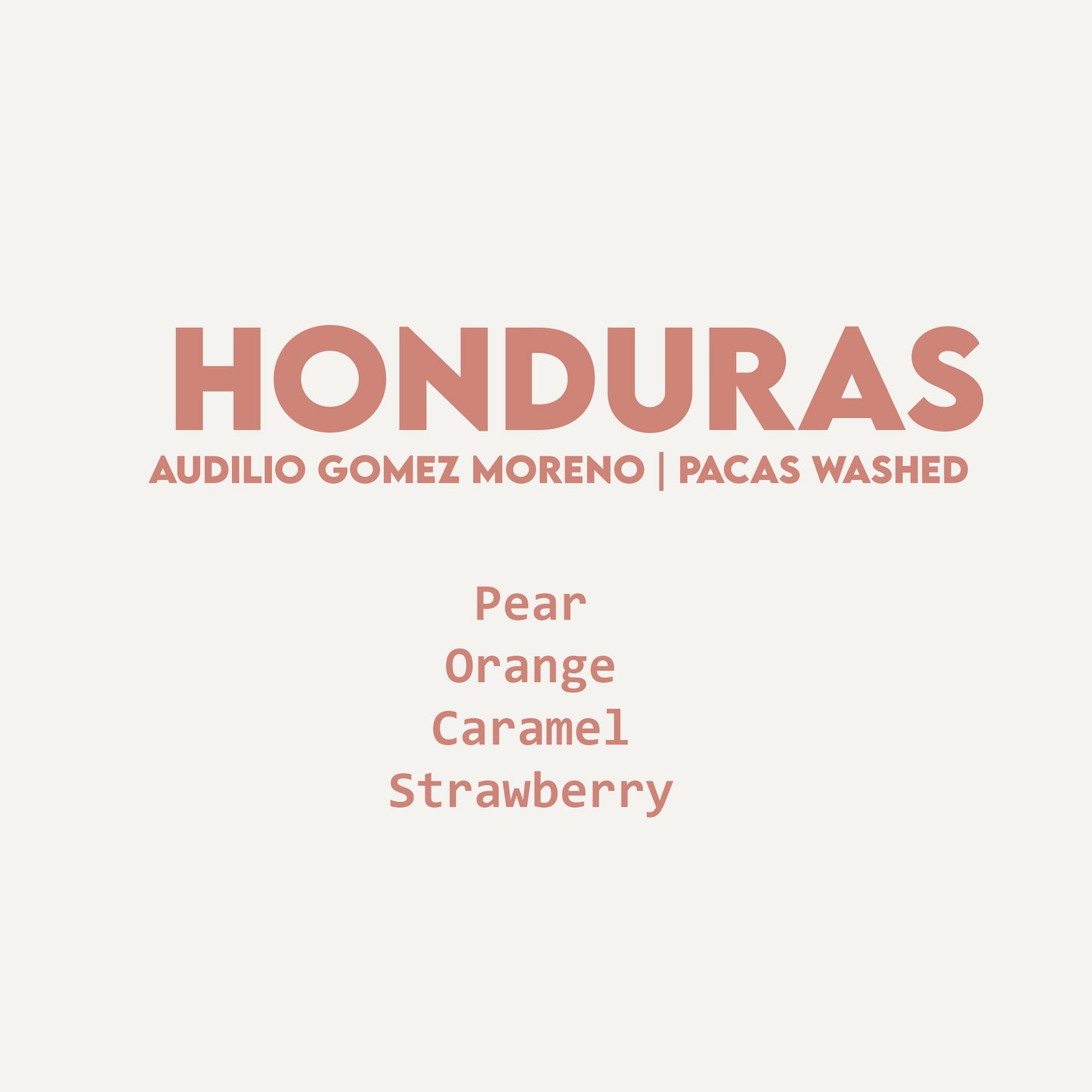 Honduras - Audilio Gomez Moreno | Pacas Washed