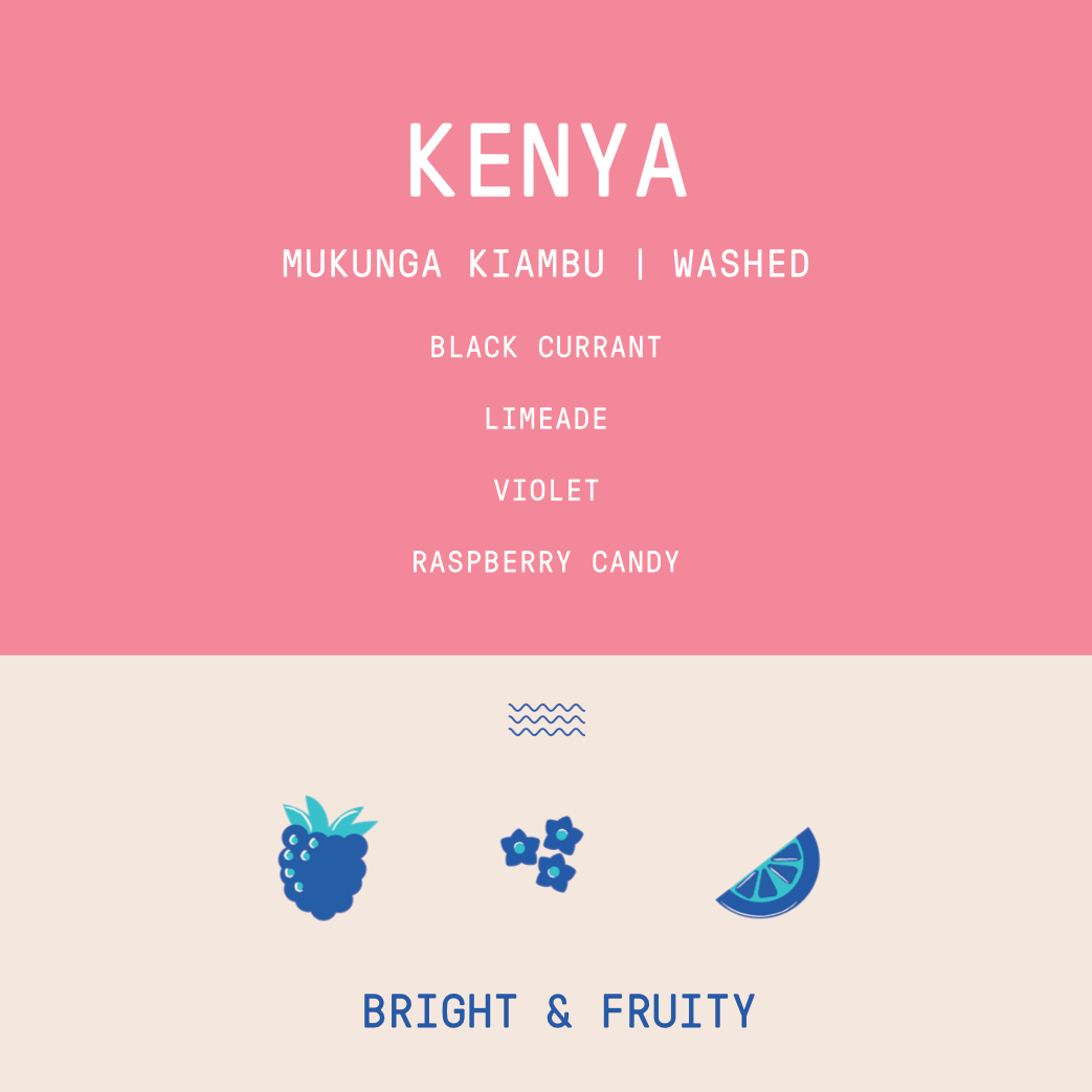 Kenya - Mukunga Kiambu |  Washed - Archived