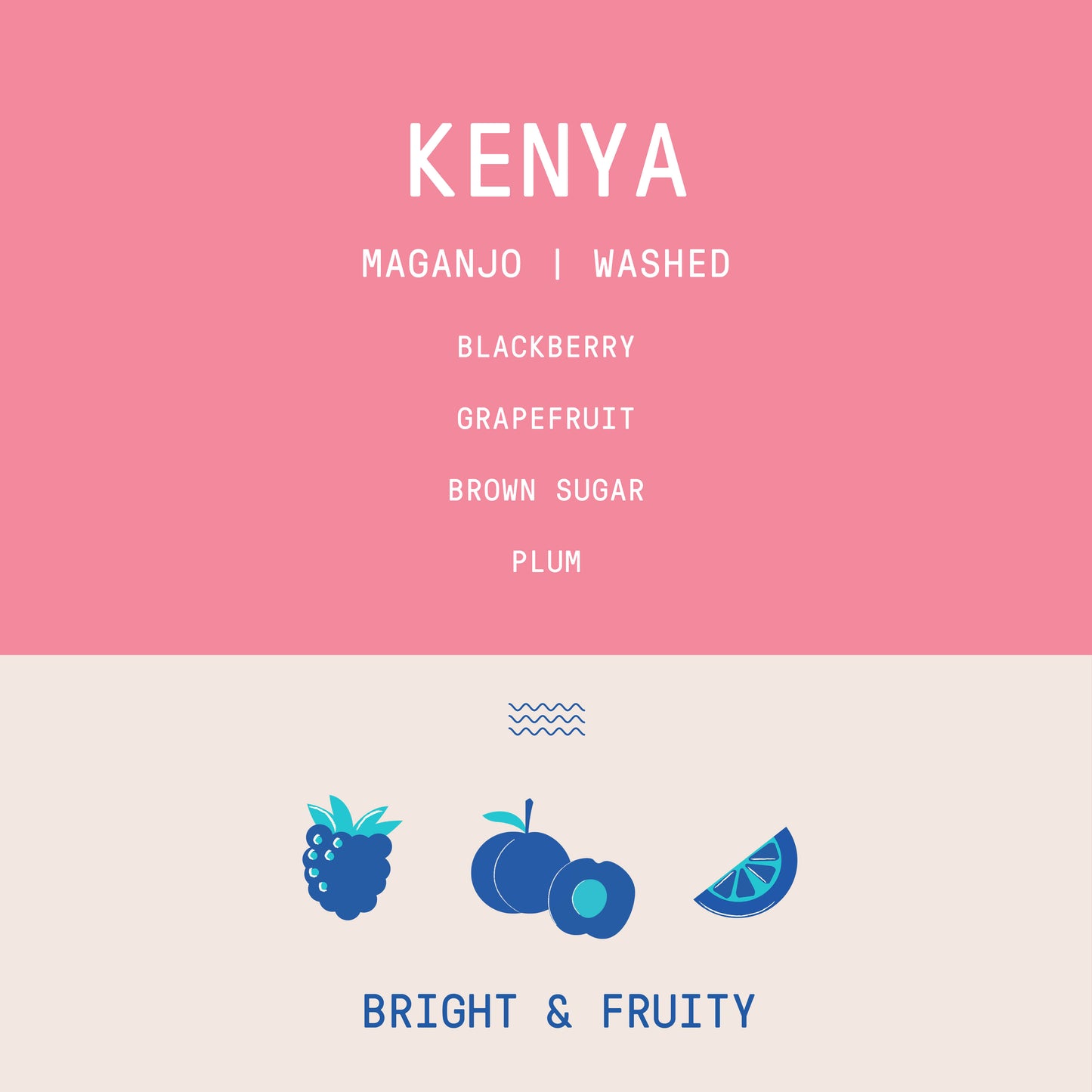 Kenya - Maganjo | Washed - Archived