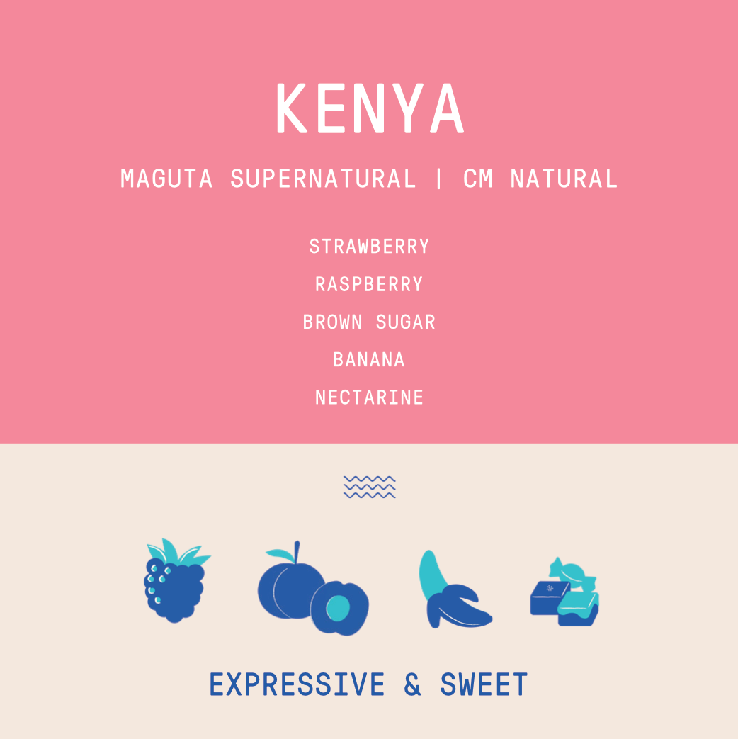 Kenya - Project Origin Maguta Estate Supernatural Lot 172 | CM Natural - 100g  Archived