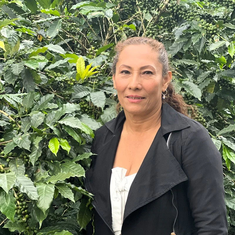 Colombia - María Belén Díaz  | Papayo Paradise Washed - Archived