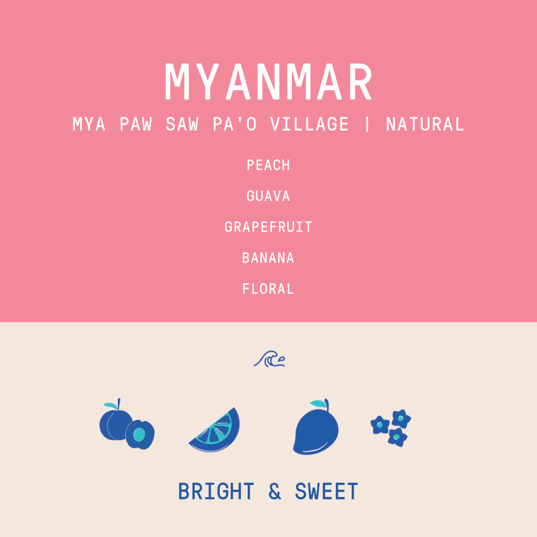 Myanmar - Mya Paw Saw Pa'O Village | Natural - Archived