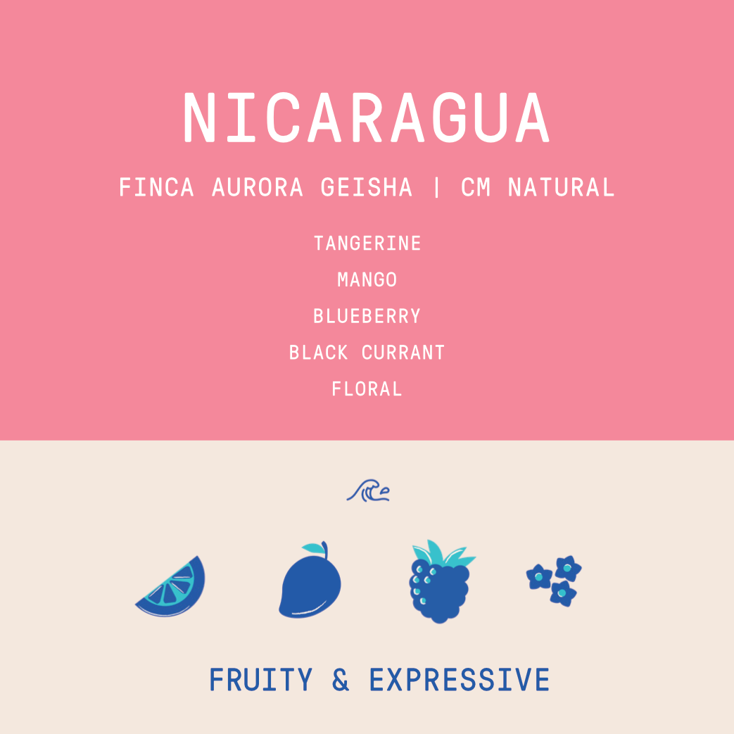 Nicaragua - Finca Aurora | Geisha CM Natural