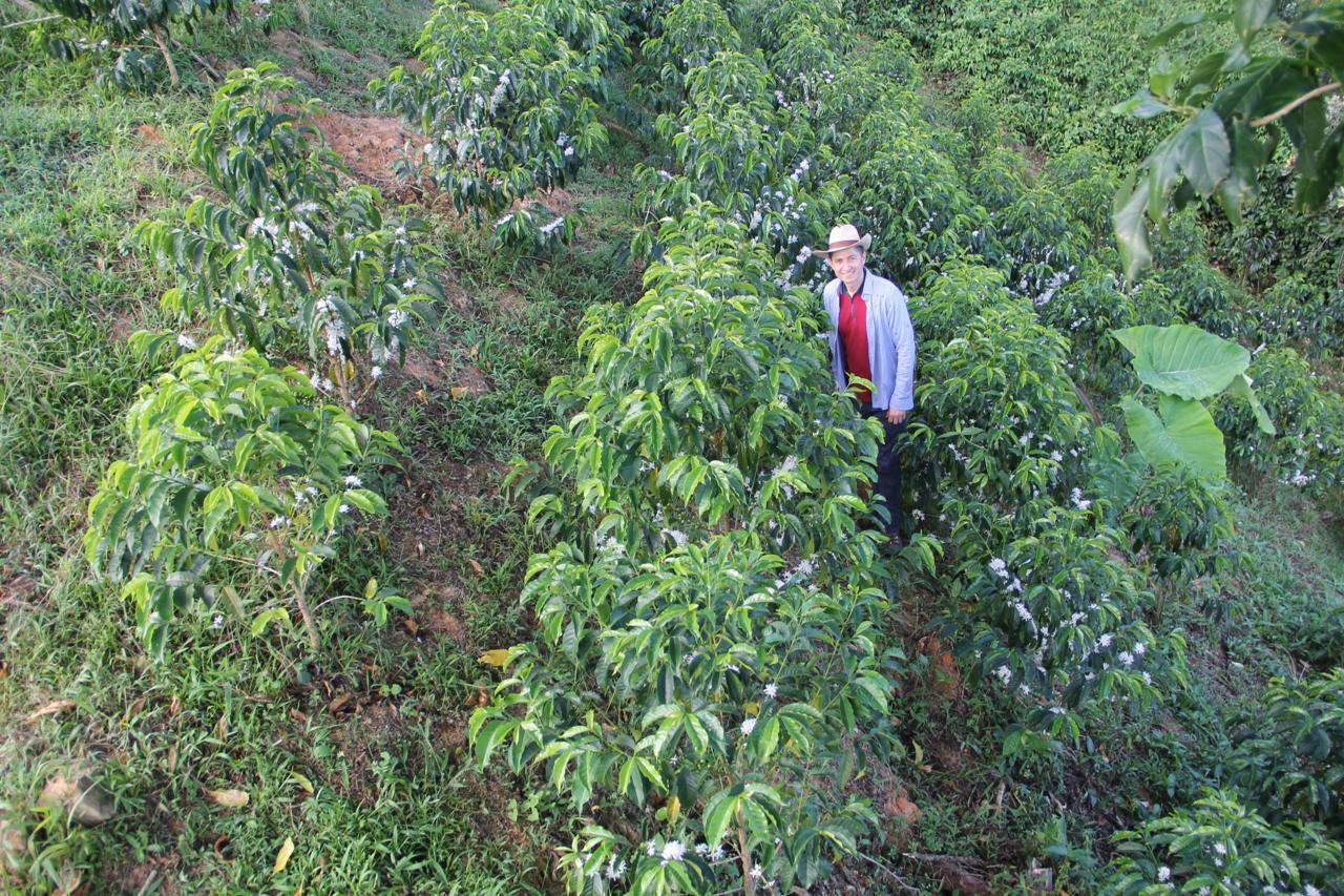 Colombia - La Soledad | Mokka Natural - Archived