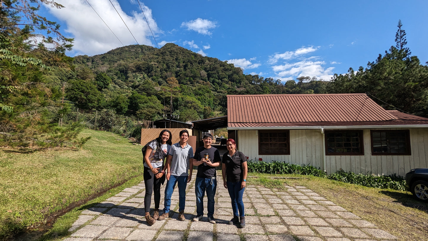 Panama - Kotowa Duncan Estate | Geisha Natural - 100g - Archived