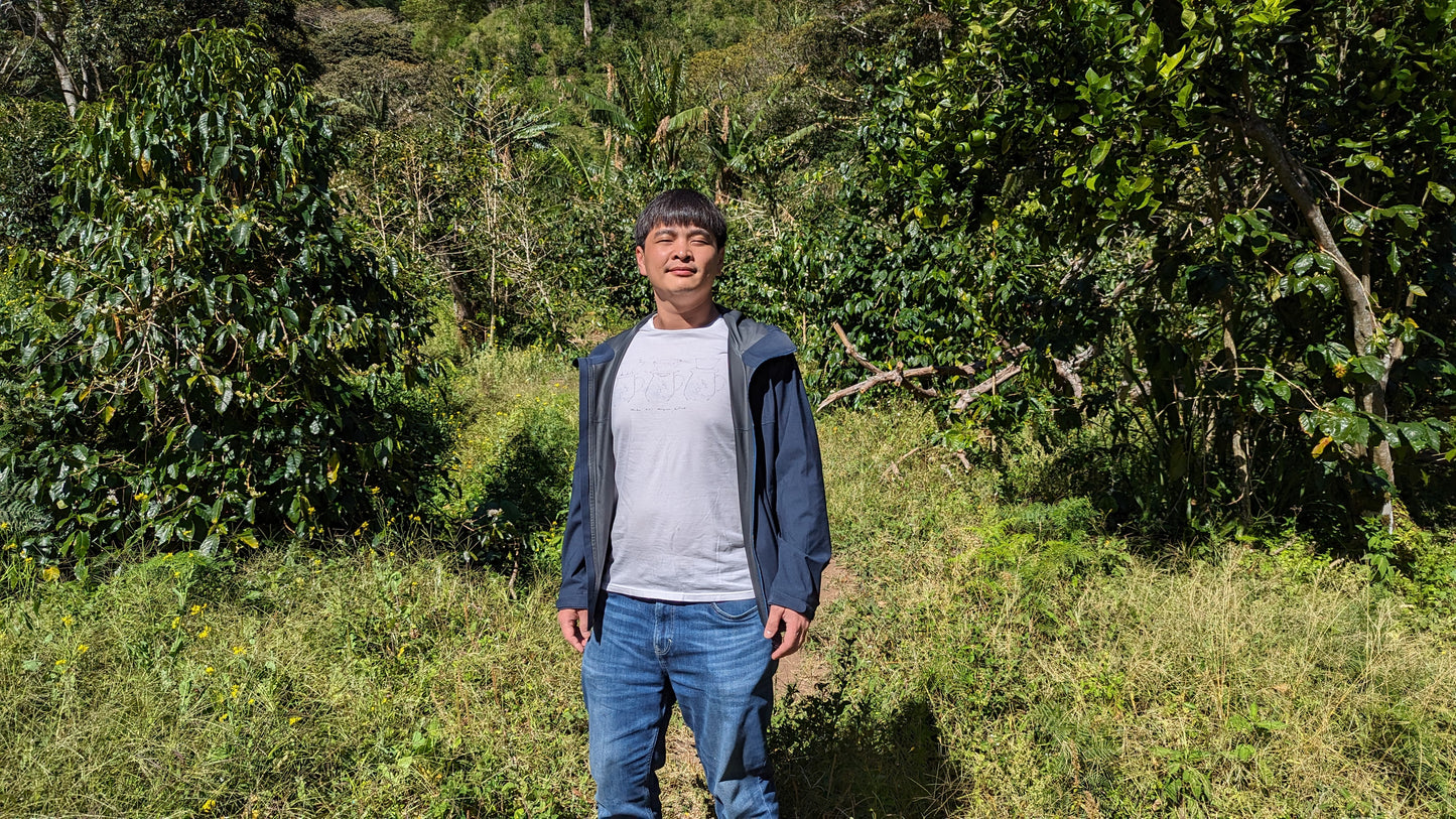 Panama - Cafe Don Benjie Geisha | CM Natural Lot 7 - 100g - Archived