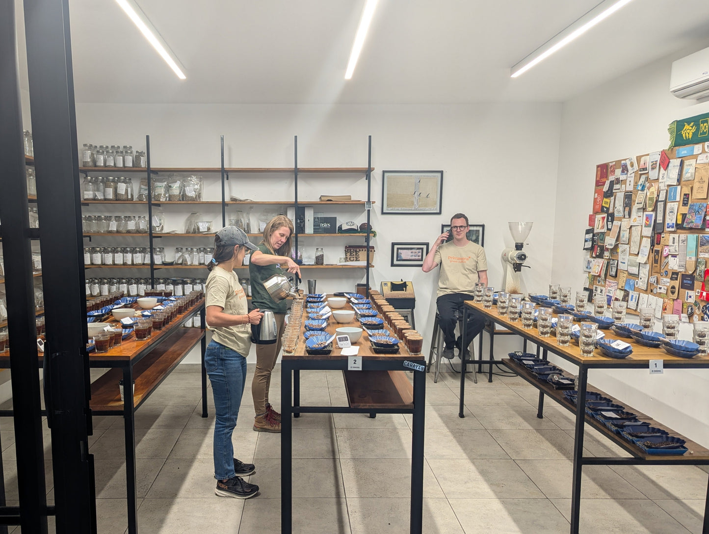 Guatemala - Huehuetenango Primavera Family Lot | Washed - Archived