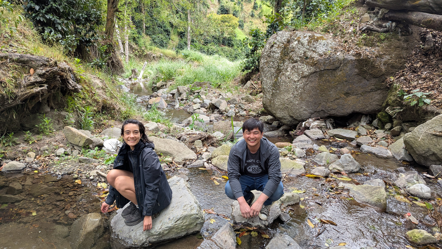 Panama - Bambito Estate Geisha | Washed - 100g