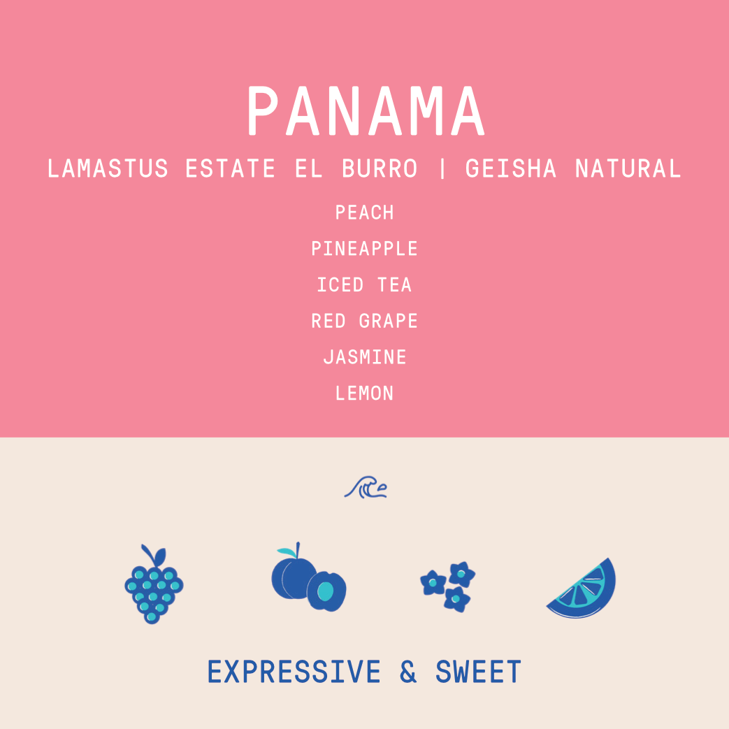 Panama - Lamastus El Burro Estate | Geisha Natural - 100g - Archived