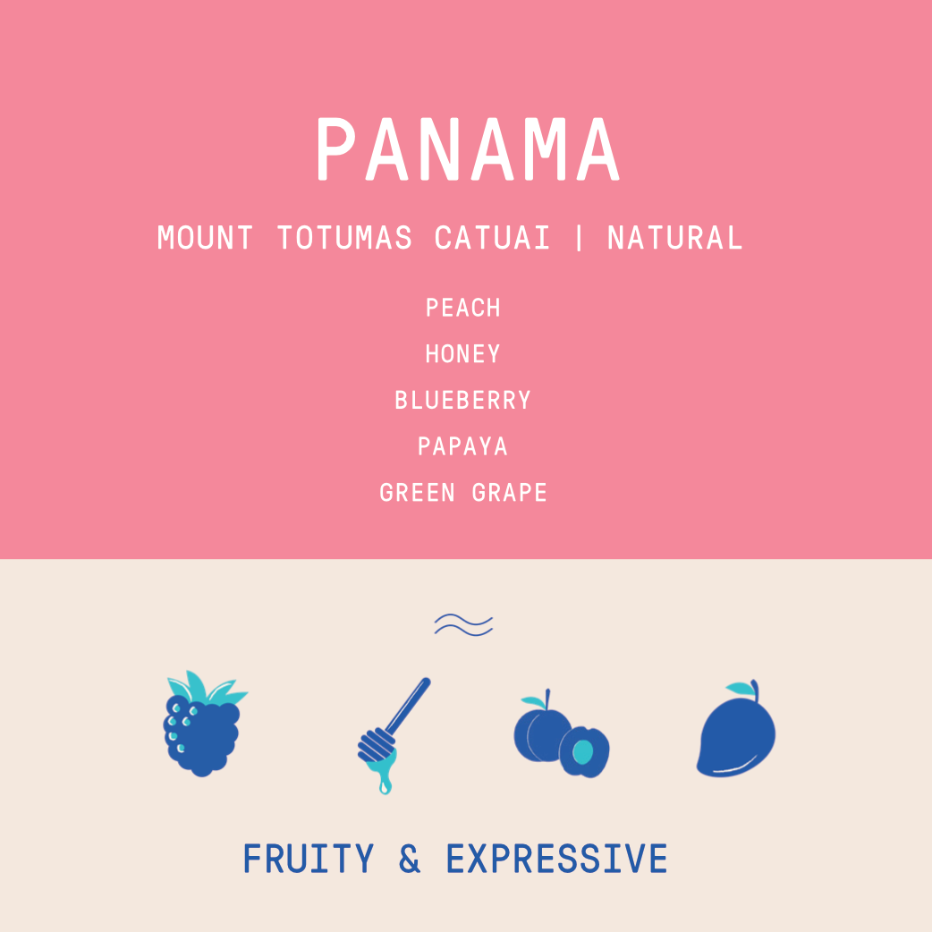 Panama - Mount Totumas Catuai | Natural - 200g