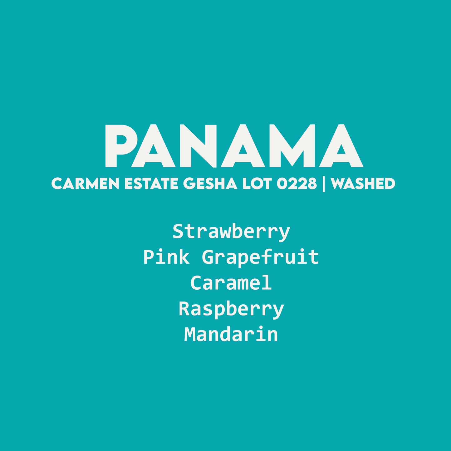 Panama - Carmen Estate Gesha Lot 0228 | Washed - 100g