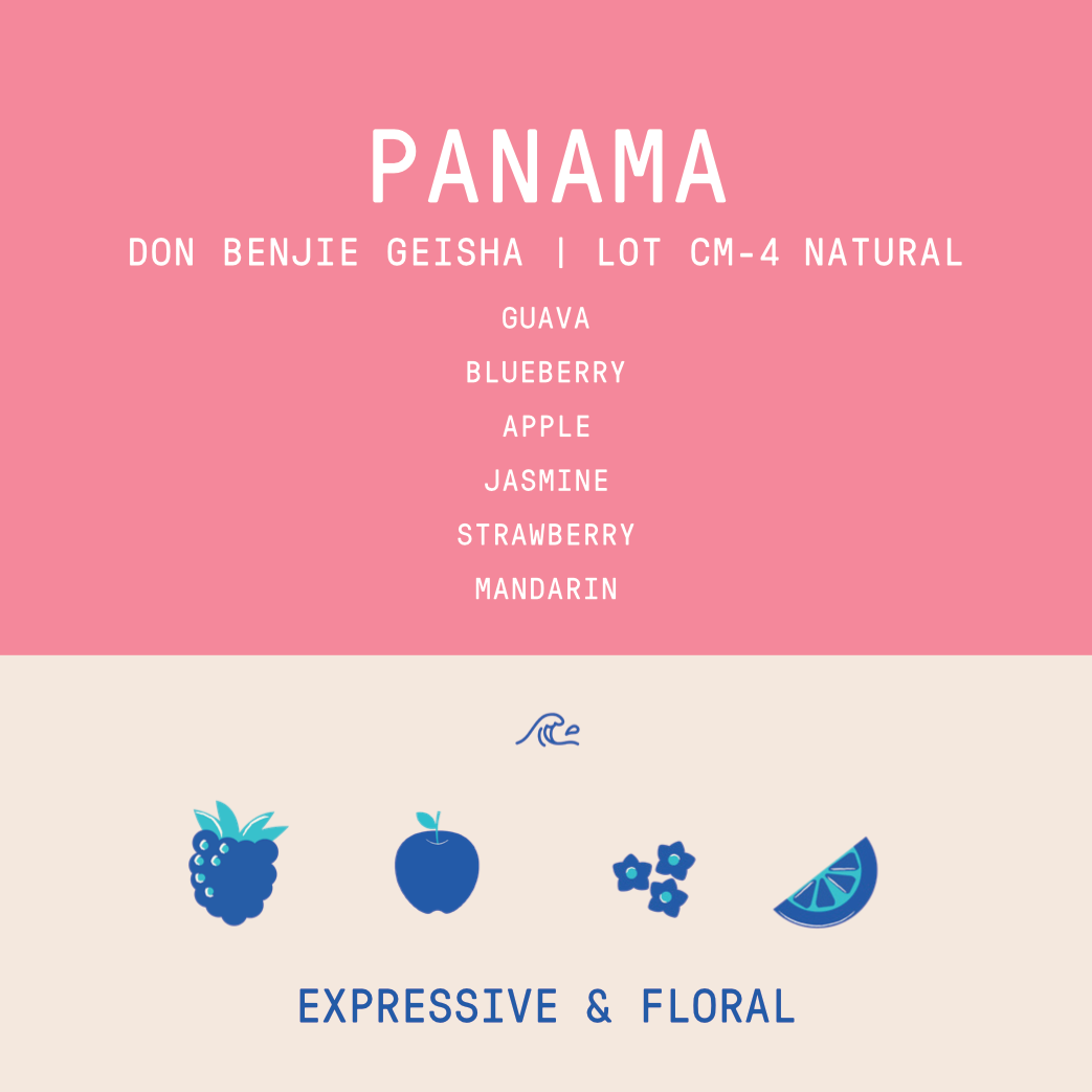 Panama - Cafe Don Benjie Geisha | CM Natural Lot 4 - 100g