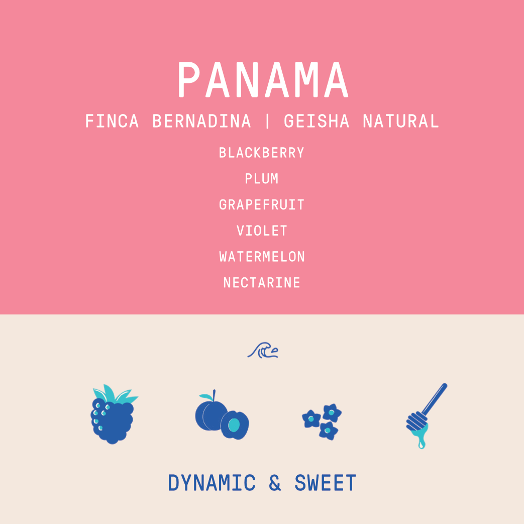 Panama - Finca Bernardina Geisha Lot 21/12/23  | Natural - 100g - Archived