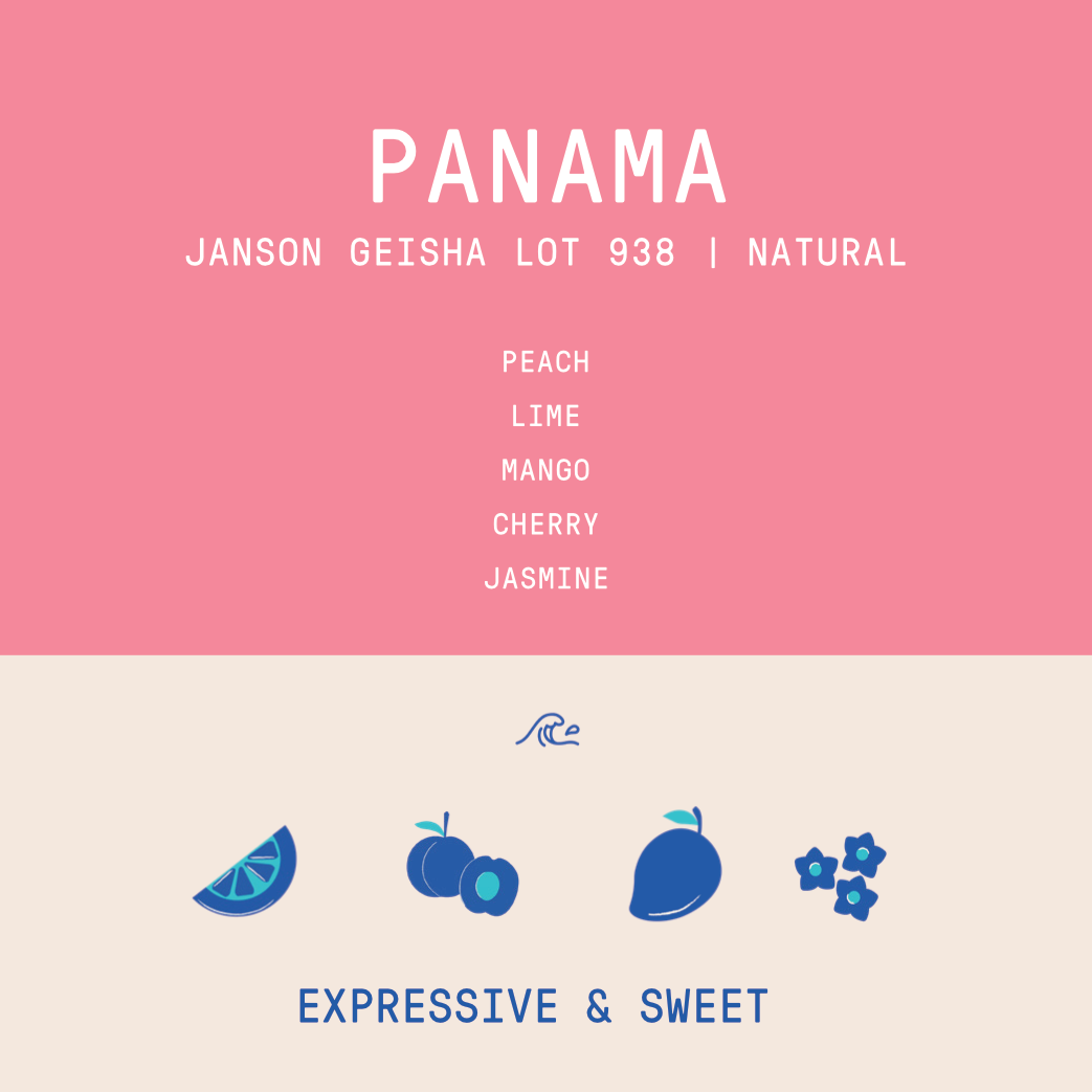 Panama - Janson Geisha Lot 938 | Natural - 100g