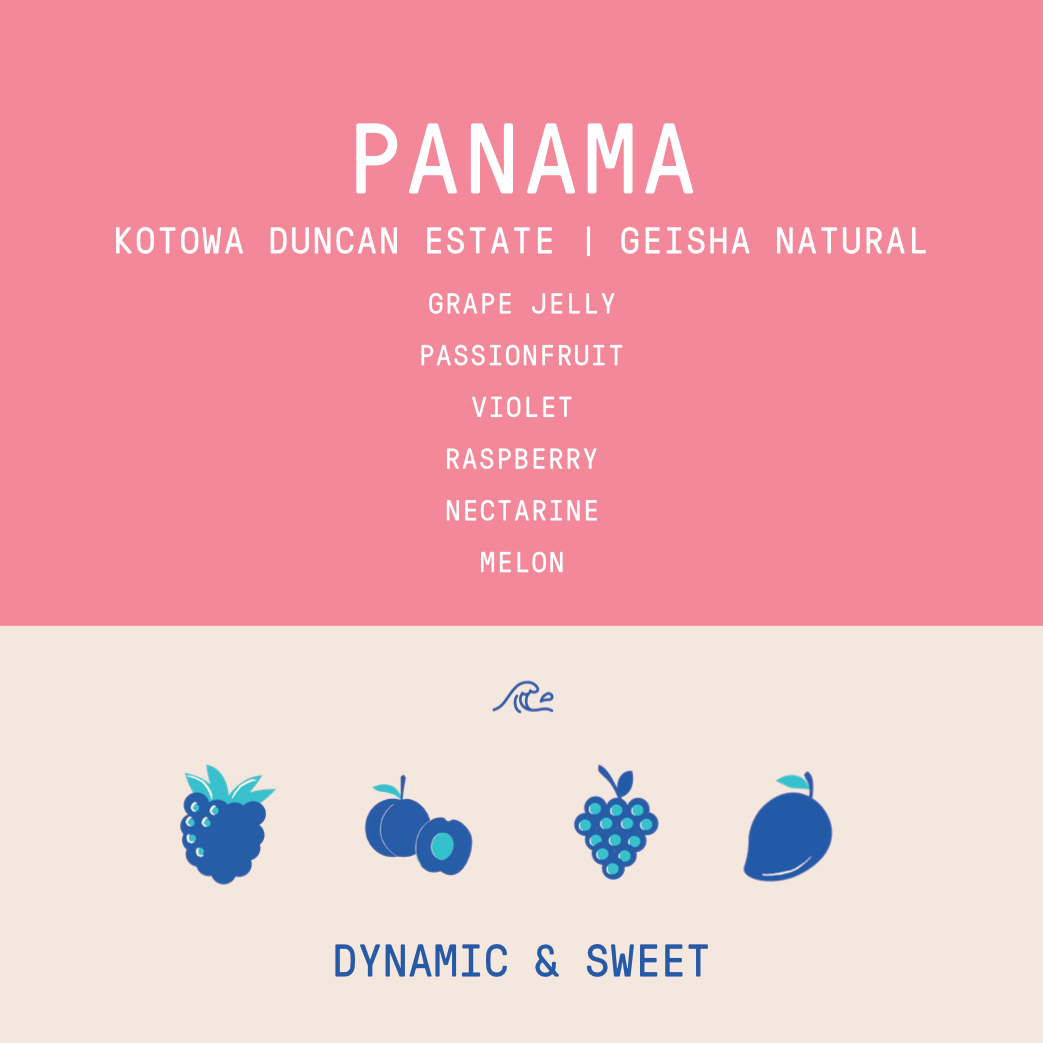 Panama - Kotowa Duncan Estate | Geisha Natural - 100g - Archived