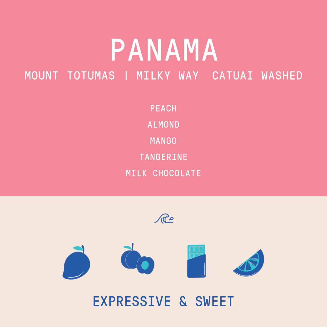 Panama - Mount Totumas Milky Way | Catuai Washed - Archived