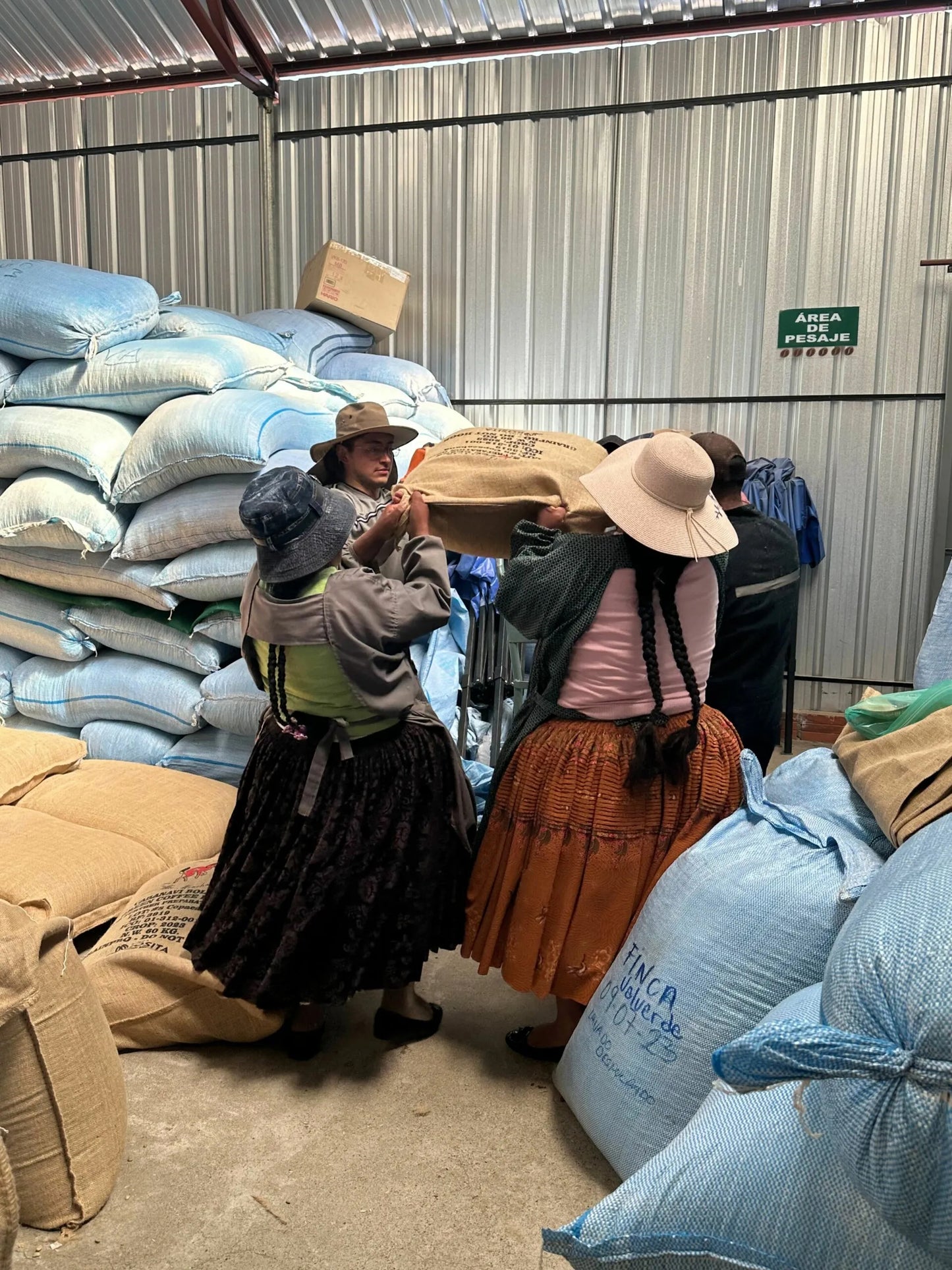 Bolivia - Taypiplaya Community lot | Washed - Archived