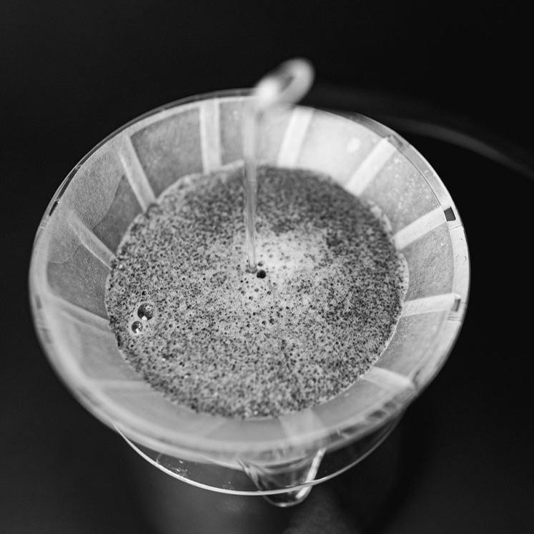SIBARIST - UFO | Speciality Coffee Paper Filters