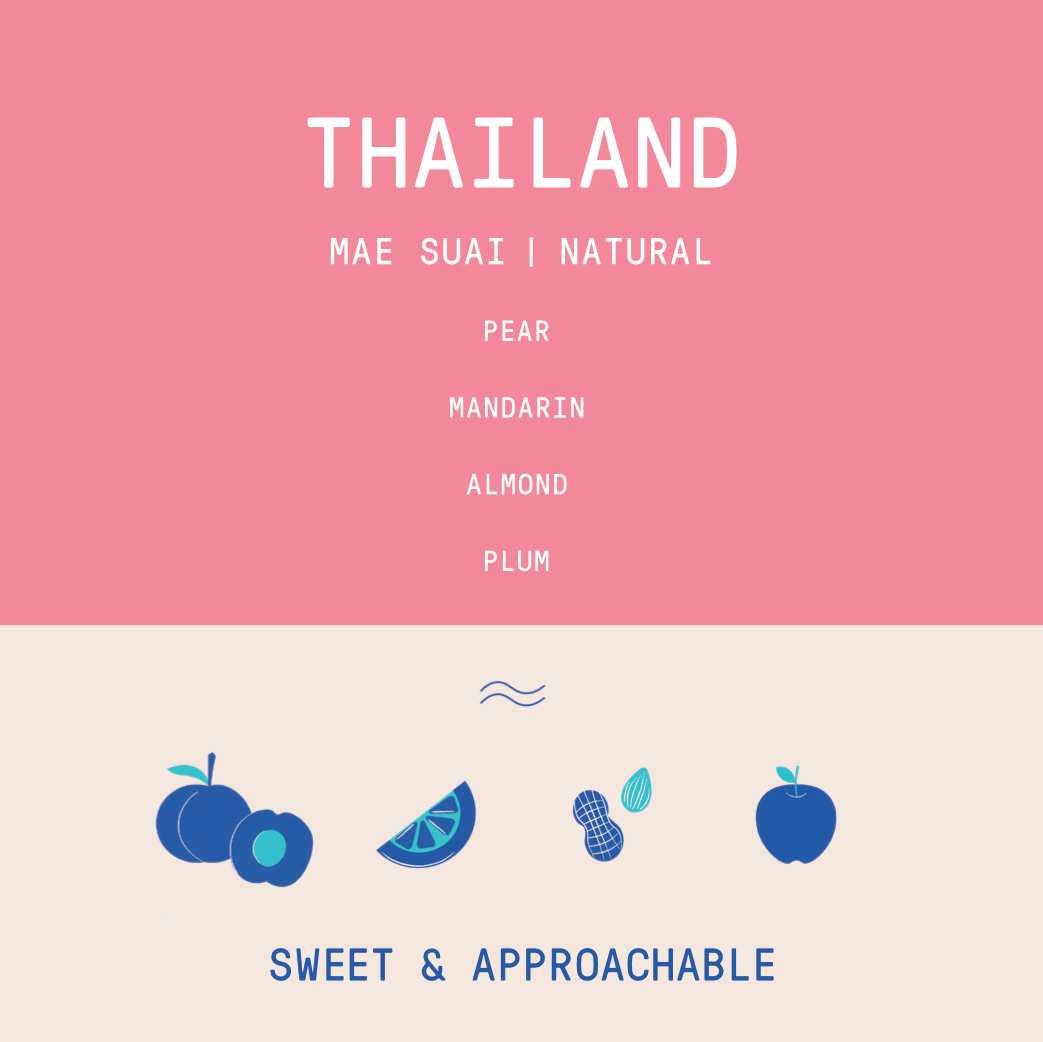 Thailand - Mae Suai | Natural - 250g - Archived