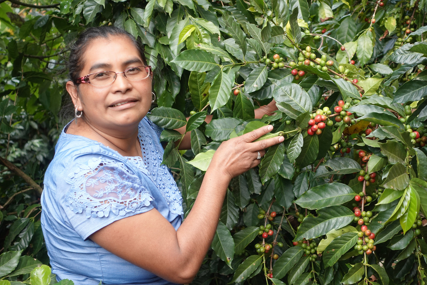 Guatemala - Ella Todos Santos | Washed - Archived