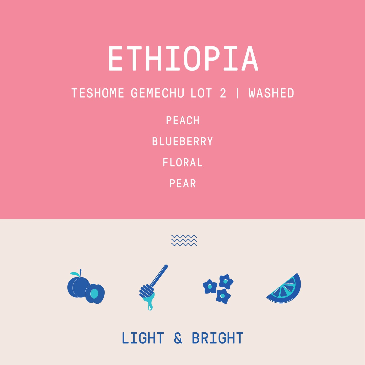 Ethiopia - Teshome Gemechu Lot 2 | Washed - Archived
