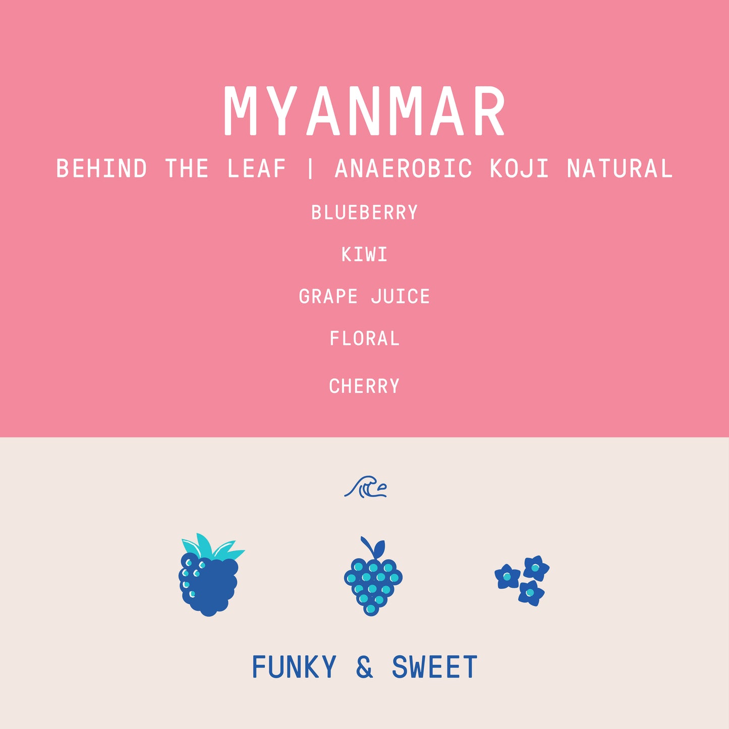 Myanmar - Behind The Leaf | Syrina - Anaerobic Koji Natural - Archived