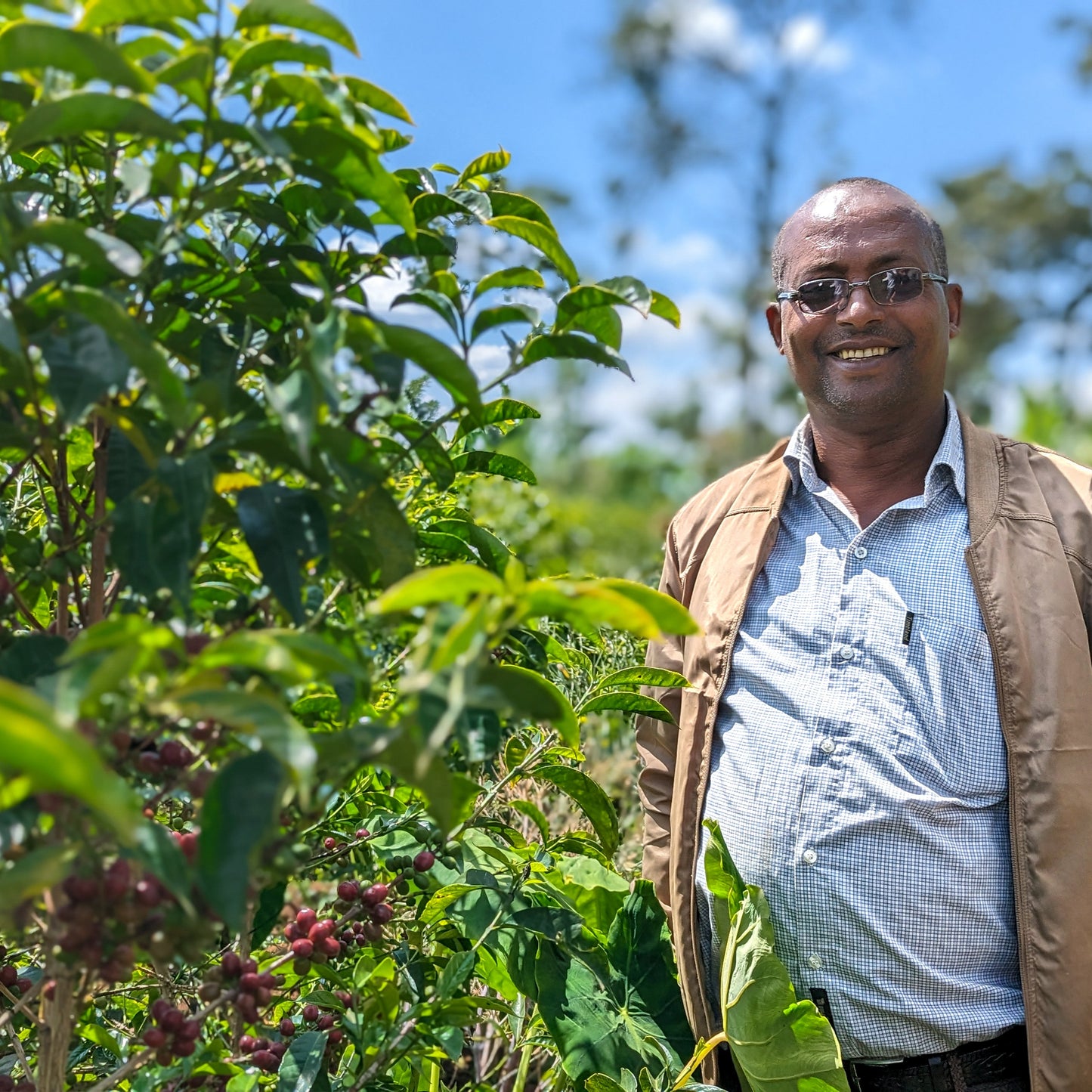 Ethiopia - Nguisse Nare Murago Lot 1 | Natural - Archived