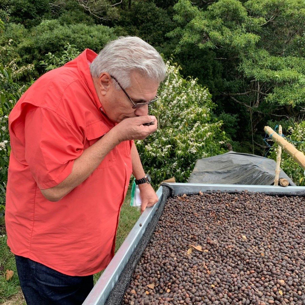 Panama - Altieri Luci Geisha | Dry Natural - 100g - Archived