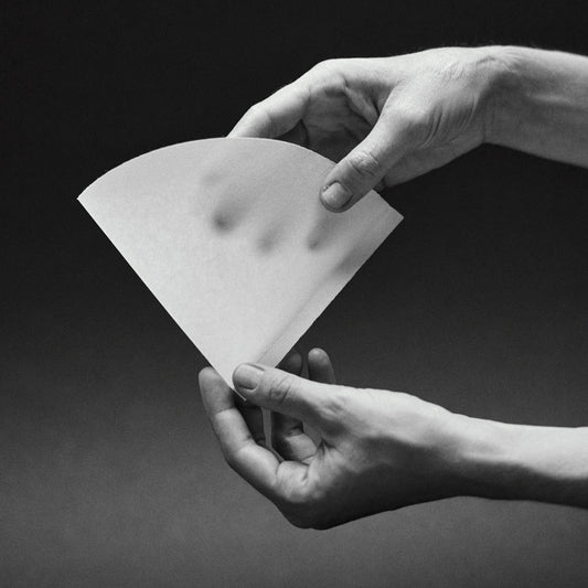 SIBARIST - B3 CONE | Paper Filter