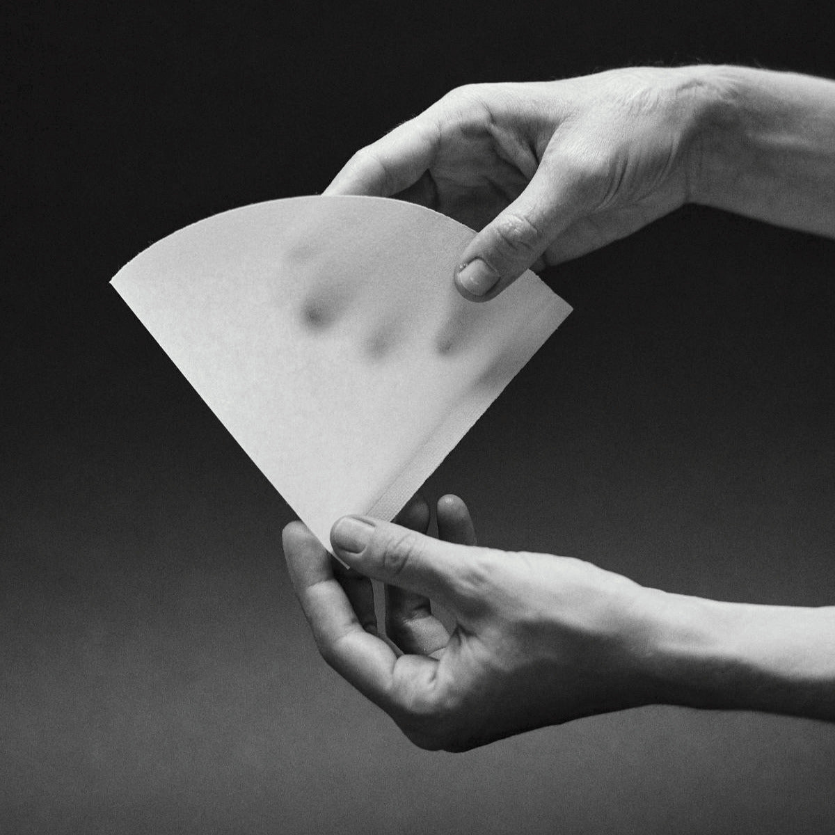 SIBARIST - CONE | FAST Paper Filter