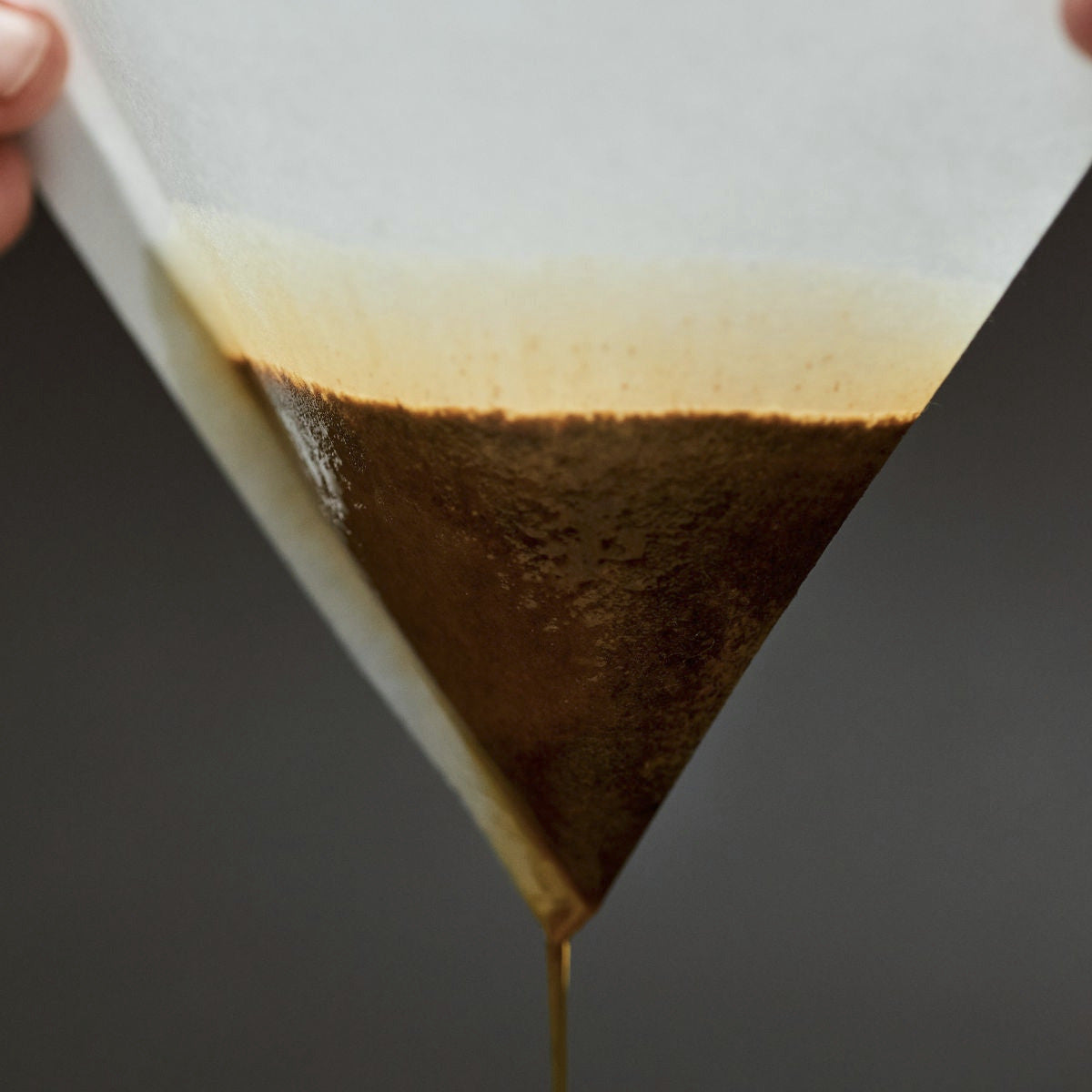 SIBARIST - B3 CONE | Paper Filter