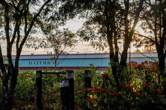 Rogue Wave x Daterra Estate: A Brief History of a Cherished Relationship