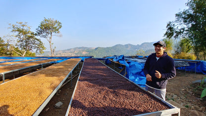 Thailand - Sirinya Farm |  Slow-dried Natural