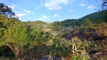 Thailand - Karen Farm | Natural