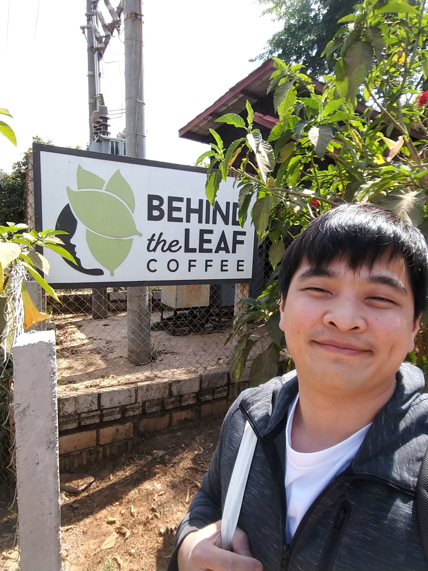 Myanmar - Behind The Leaf | Wa Lee Village - Anaerobic Honey - Archived