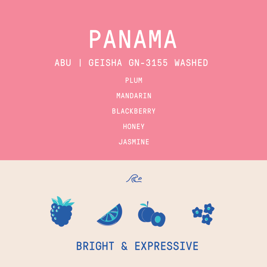Panama - Abu Geisha GW-3155 | Washed - 100g - Archived