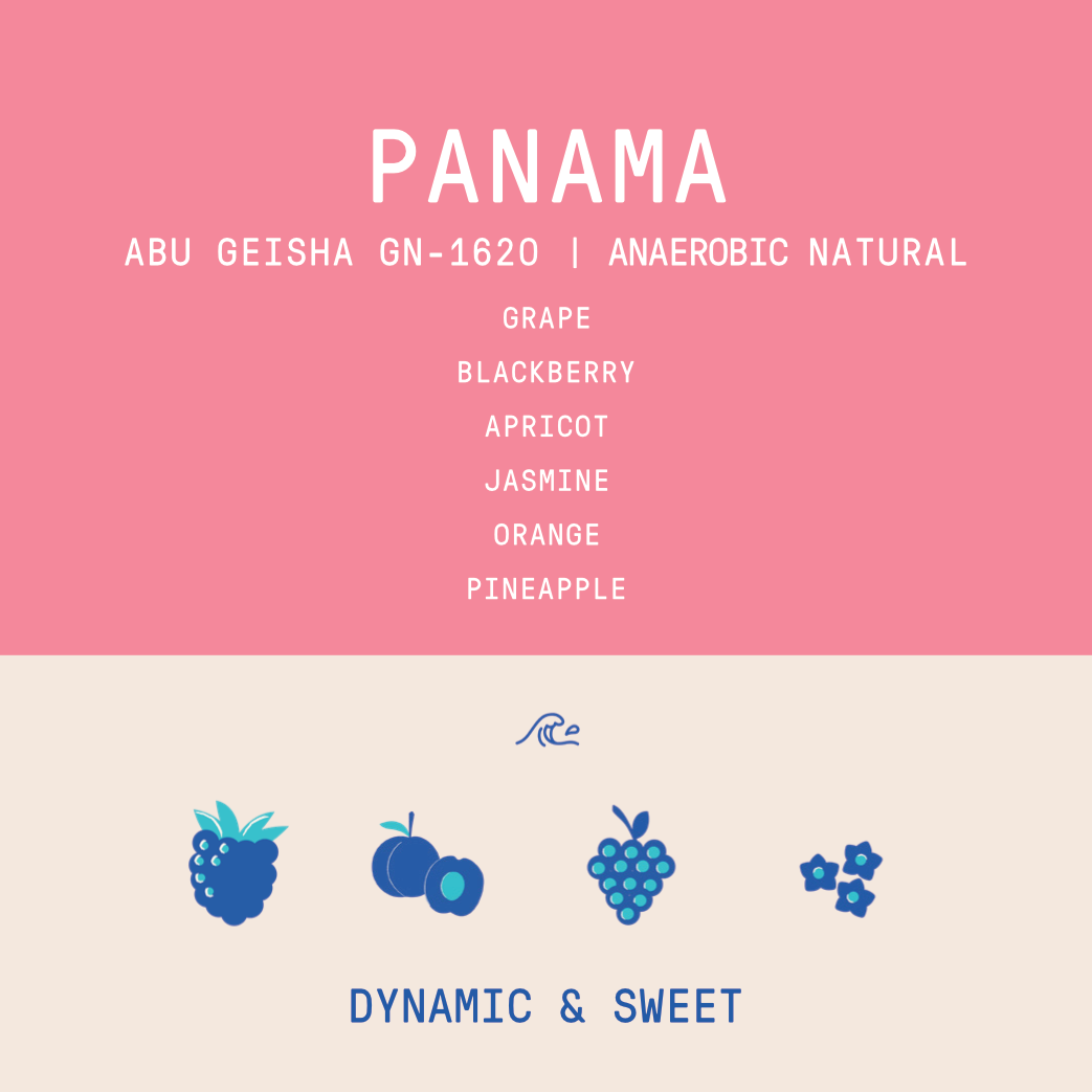 Panama - Abu Gesha GN-1620 | Submerged Anaerobic Natural - 100g - Archived