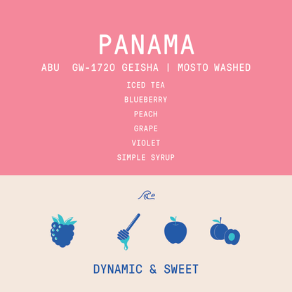 Panama - Abu Geisha GW-1720 | Mosto Washed - 100g - Archived