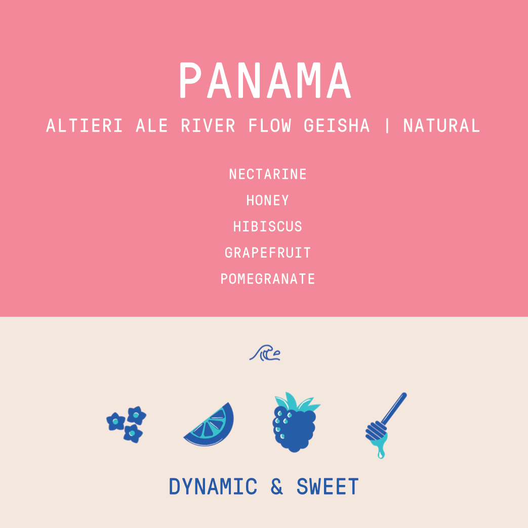 Panama - Altieri Ale Geisha | River Flow Fermentation Natural GN-RFF4 - 100g