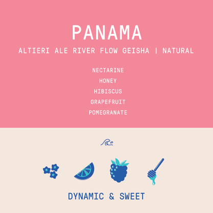 Panama - Altieri Ale Geisha | River Flow Fermentation Natural GN-RFF4 - 100g