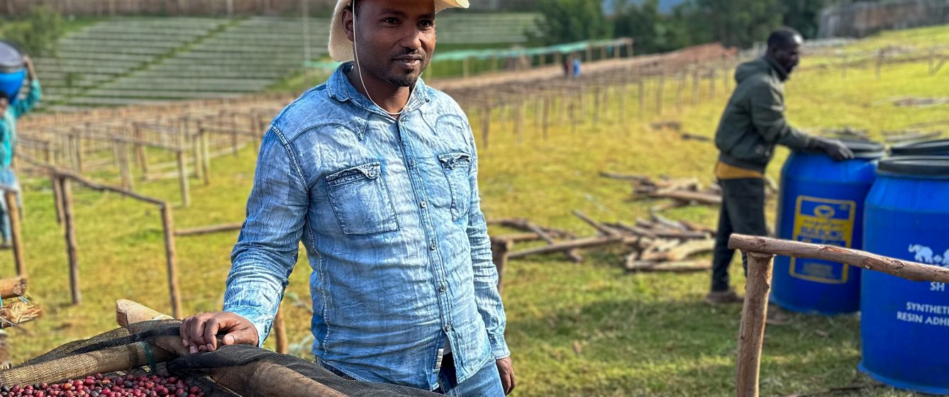 Ethiopia - Basha Bekele | White Honey Washed